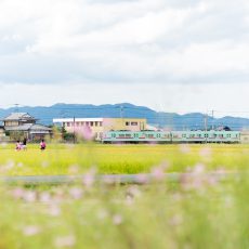 2022年問題リミット目前！「生産緑地」の相続・土地活用で気をつけたいポイント